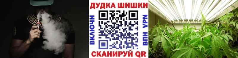 Шишки марихуана THC 21%  Купить закладки  Нелидово 